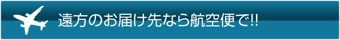 遠方のお届け